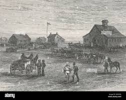 The Seed That Changed Canada'S Wheat Industry | The Western Producer