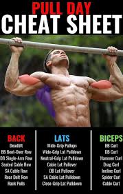 Is Dianabol Legal What Does Dbol Do To Your Body In 2020 Gym Workout Tips Pull Day Workout