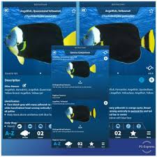 The striped damsel is easy to care for and can be recommended for novice marine aquarists. Idfish Fish Identification Application Id A Fish