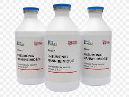 Liquids for external use, semi solids: Biofertilizer Phytogold Sdn Bhd Universiti Putra Malaysia Agriculture Microorganism Png 881x662px Biofertilizer Agriculture Aquaculture Biotechnology Bottle