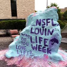 Posted on may 16, 2011 by ajm214. The Rock North By Northwestern