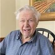 Friedlander Family Obituaries