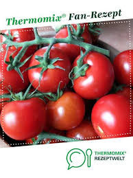 Tomatenketchup Ohne Zucker Rezept Tomatenketchup Tomaten Ketchup Thermomix Rezepte