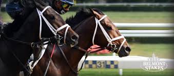 2020 belmont stakes (g1) date/track: Fpzcexyrstcndm