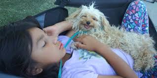 Missing‼️Last seen in Hanford. Her mother is a local Central Valley food  vendor. Contact Sheril Lawless if you have seen her. Please Share and help  to reunite them. 🙏