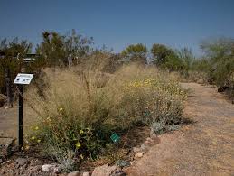 With over 7 years of pest control service tactical pest control is the first choice of many people when it comes to dealing with spiders, roaches, pigeons and. Workshop Offered To Attract Beneficial Insects Help With Pest Control University Of Nevada Reno