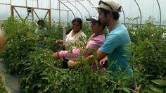 Than You New Farm Institute Sustainable Farmers Austin Texas Farmer Thank You Farmer Online Doctor