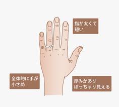 あなたの指のタイプは？「似合う」を叶える結婚指輪の選び方 | ハワイアンジュエリー Maxi オフィシャルサイト