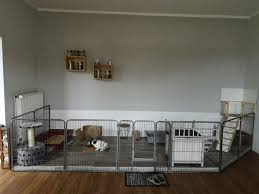 Eine schalldämmung in der wohnung lässt sich je nach erfordernis an wohnungswänden, decken oder fußböden installieren. 23 Kaninchen Innengehege Ideen Kaninchen Kaninchengehege Meerschweinchen