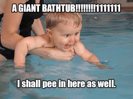 Maybe you would like to learn more about one of these? Just Keep Swimming A Collection Of Swimming Memes