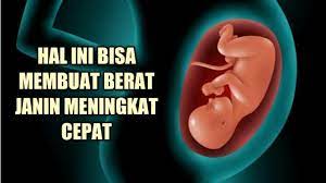 Selama masa kehamilan, posisi bayi di dalam kandungan biasanya akan bergerak berputar ke berbagai arah yang berbeda. Tips Menambah Berat Janin Dalam Kandungan Yang Cepat Mudah Youtube