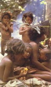 Résultat de recherche d'images pour "senoi malaysia"