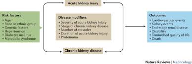 The chronic renal insufficiency cohort (cric) study. Acute Kidney Disease And Renal Recovery Consensus Report Of The Acute Disease Quality Initiative Adqi 16 Workgroup Nature Reviews Nephrology