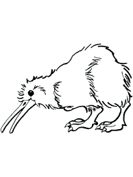 Kiwi Coloring Pages Image Kiwi Is The Name Of A Bird That Is Easily Recognized By Looking At Its Dist Animal Coloring Pages Coloring Pages Free Coloring Pages