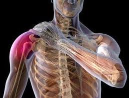 Lesões musculoesqueléticas: diagnóstico e prevenção – ClinicaExVitam