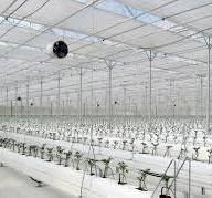 Control climático para invernaderos - Ritec