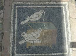 Colors bees prefer in flower gardens. Olive Tree Flowers In Italy Beediverse Mason Bees