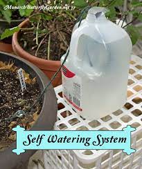 Survival Tips For Indoor House Plants While On Vacation House Plants Indoor Self Watering Plants Plant Watering System