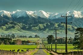 New zealand brings in bereavement leave for miscarriages and stillbirths. New Zealand S Environment Is In Serious Trouble