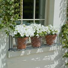 Wrought iron window boxes with wall full of ivy at farniente winery: Window Boxes Garden Requisites