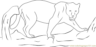Marvel movie black panther lego coloring pages printable and free to print. Wild Black Panther Coloring Page For Kids Free Panther Printable Coloring Pages Online For Kids Coloringpages101 Com Coloring Pages For Kids