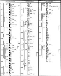 The Human Obesity Gene Map The 2003 Update Snyder 2004 Obesity Research Wiley Online Library