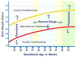 45 symbolic indian baby birth weight chart