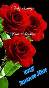 Feliz Domingo Good Night Friends Good Morning Greetings Beautiful Roses
