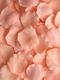 Peach Paper Rose Petals Peach Aesthetic Pink Aesthetic Peach