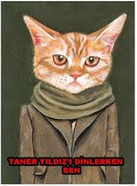 Trafodaki Kedi Caps Leri Galeri Sozcu Gazetesi Kedi Sanati Kedi Sanatsal Baski