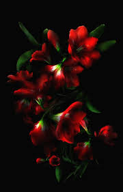 Use them in commercial designs under lifetime, perpetual & worldwide rights. Noughtlux Scarlet Mixed Media 2017 Flower Phone Wallpaper Amazing Flowers Beautiful Flowers
