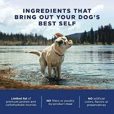Natural Balance L I D Limited Ingredient Diets Dry Dog Food 4 Pounds Salmon Brown Rice Puppy Formula Pricepulse