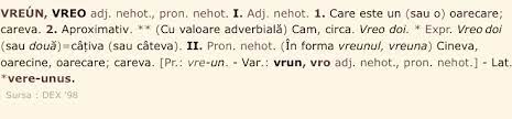 Un alt aspect important pe care necesită. LecÈia De GramaticÄ Vreo Sau Vre O Vreun Sau Vre Un Roxana B