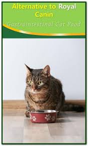 Alternative To Royal Canin Gastrointestinal Cat Food Cat Food Cats Royal Canin
