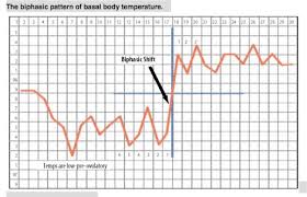 Disclosed Temperature Chart For Pregnant Dogs Canine