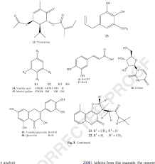 Image result for Vernonia gerberiformis