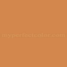 The page contains orange and similar colors including their accompanying hex and rgb codes. Laurentide B221 12 Burnt Orange Precisely Matched For Paint And Spray Paint