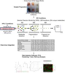 Flow Chart Summarizing Targeted Lc Ms Ms Data Acquisition