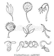 Disegni fiori da colorare immagini per la creatività dei. Disegni Fiori Set Disegni Set Isolato Flowers Vettore Bianco Canstock