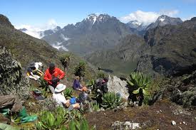Ruwenzori range, mountain range bordering uganda and congo (kinshasa); Trekking Africa S Mountains Of The Moon Australian Geographic
