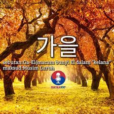 Maybe you would like to learn more about one of these? Seoul Red Cat Travel Korea Muslim Style Autumn In My Heart Jika Kita Ada Di Korea Sekarang Kita Dapat Menikmati Keindahan Musim Luruh Musim Luruh Dalam English Adalah Autumn Atau Fall