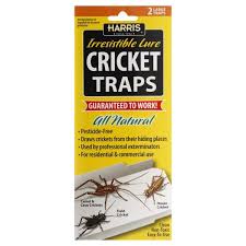 Fort bragg, cumberland county, north carolina, usa i think this and a few others like it in the guide may be walker's camel cricket, ceuthophilus walkeri. Harris Cricket Glue Traps 2 Pack Walmart Com Walmart Com