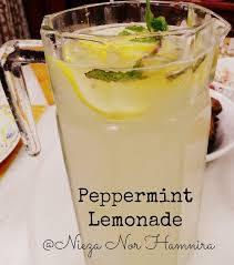 Campurkan keduanya dengan cara kaup balik. Resepi Air Lemon Pudina Untuk Berbuka Segelas Minum Memang Tak Cukup