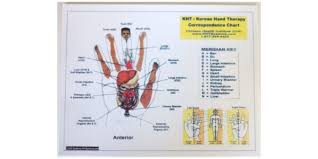 Korean Hand Therapy Chart