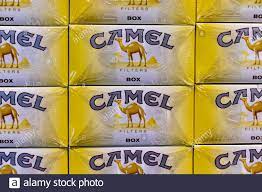 Its characteristic flavor of elite tobacco you can feel from the first inhalation. Airport Palma Mallorca Spain 2019 April 14 Camel Cigarette On The Shelves For Sale In An Duty Free Shop Stock Photo Alamy