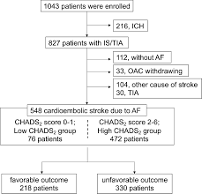 Image result for CHAD Score