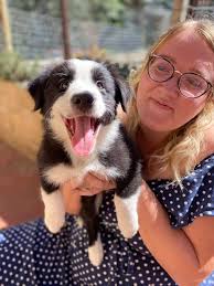 Introducing my 9 year old puppy, Daisy. She's my emotional support dog and  super goofy. She had a couple litters of puppies so her weight is a work in  progress (yes shes