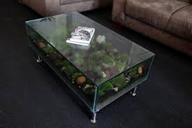Terrariums Glasshouse Terrariums Coffee Table Terrarium Cool Coffee Tables Decorating Coffee Tables