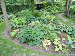 Pin Auf Garten