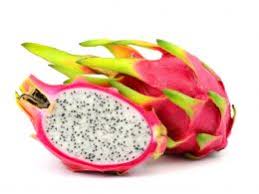Liste Complete De Tous Les Fruits Du Monde Conservation Nature